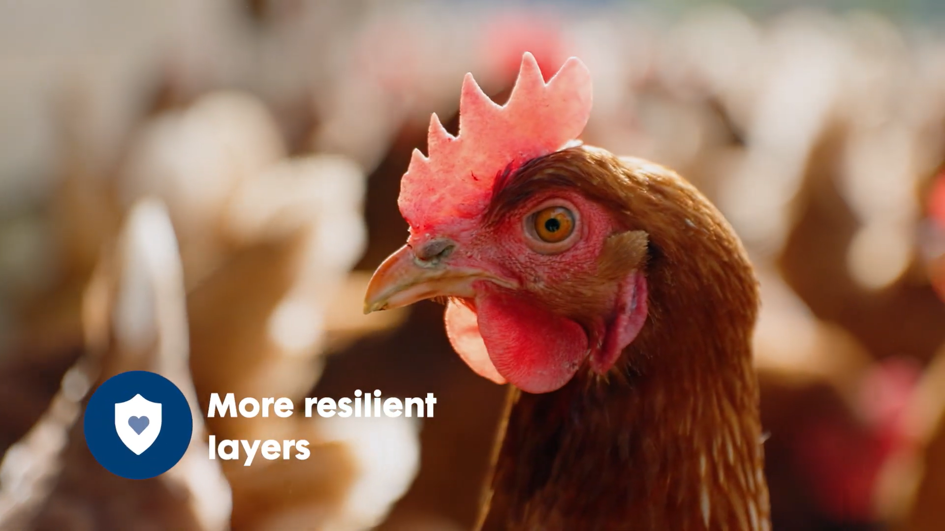 A layer with a blue logo in front reading more resilient layers