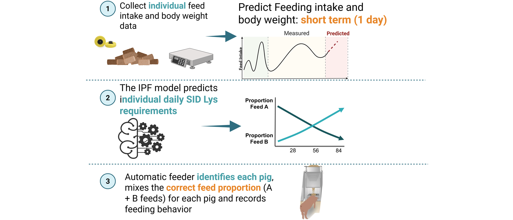 Explanation of how the IPF feeding system works: data collection, prediction, automatic feeding