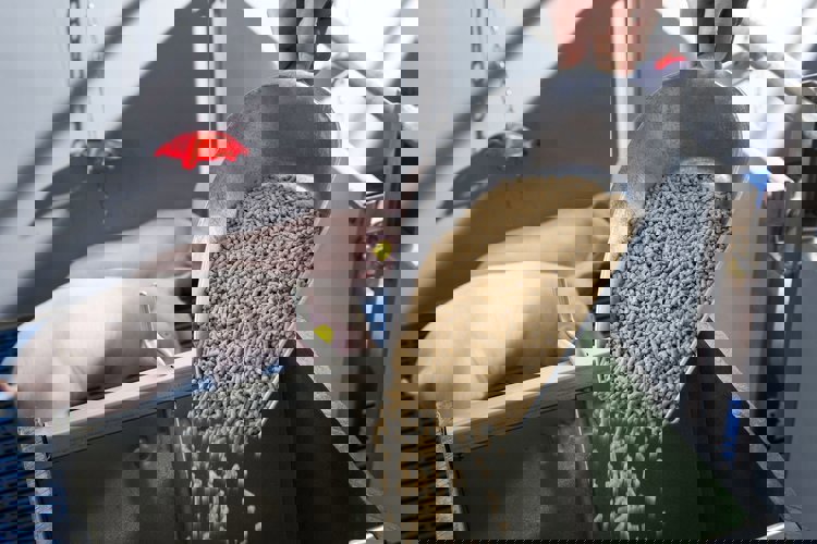 Enhancing production and feed efficiency