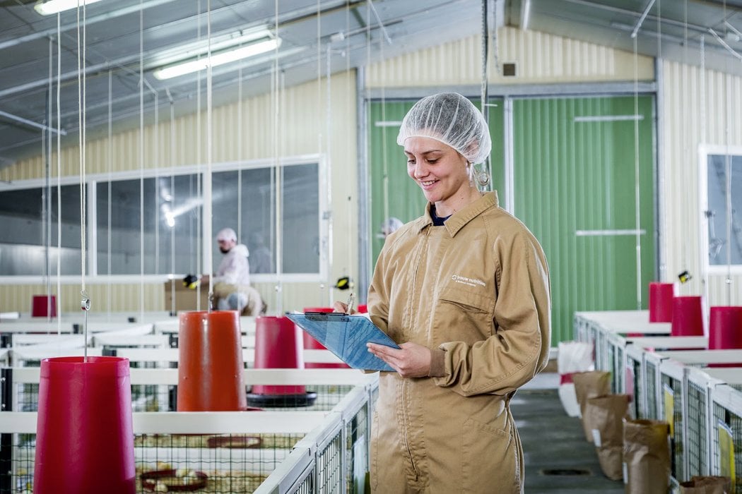 effective management of mycotoxins in layers