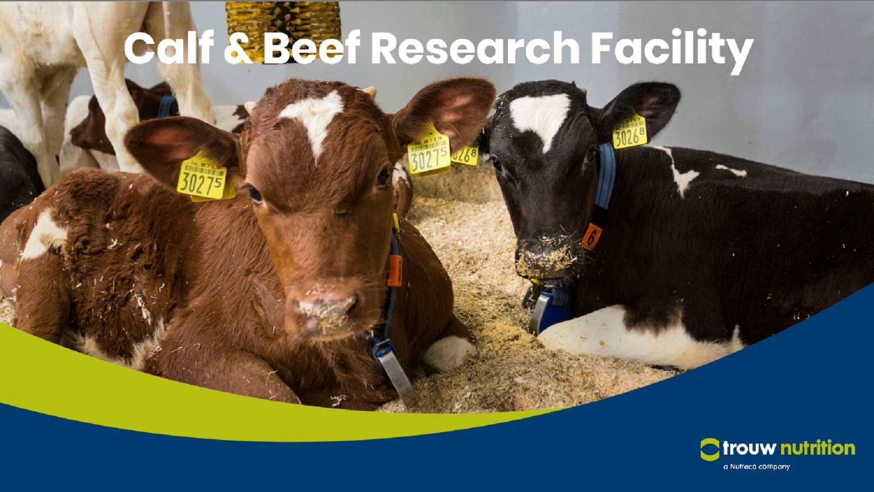 Innovation at Trouw Nutrition Calf and Beef Research Facility