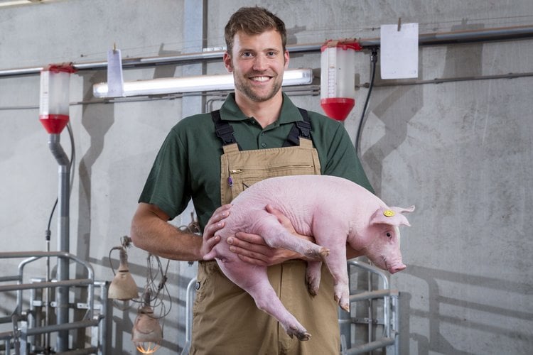 Ensuring good feed intake pre-and post-weaning