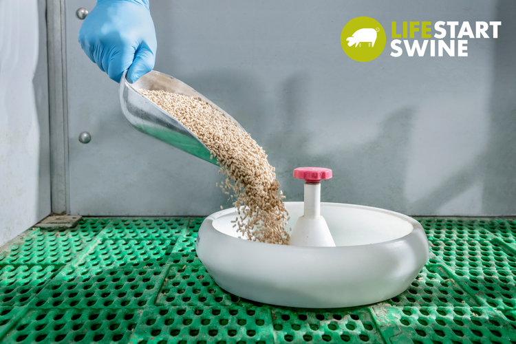 feed flowing into bowl 