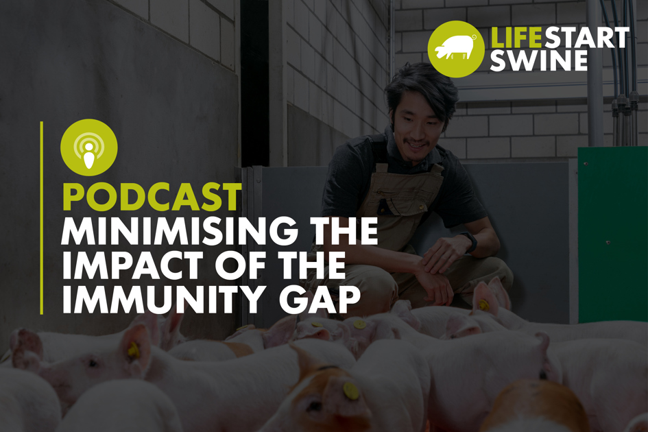 How Can Producers Minimize The Impact Of The Immunity Gap? - Trouw ...
