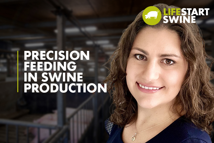 Thumbnail with text Precision feeding in swine production