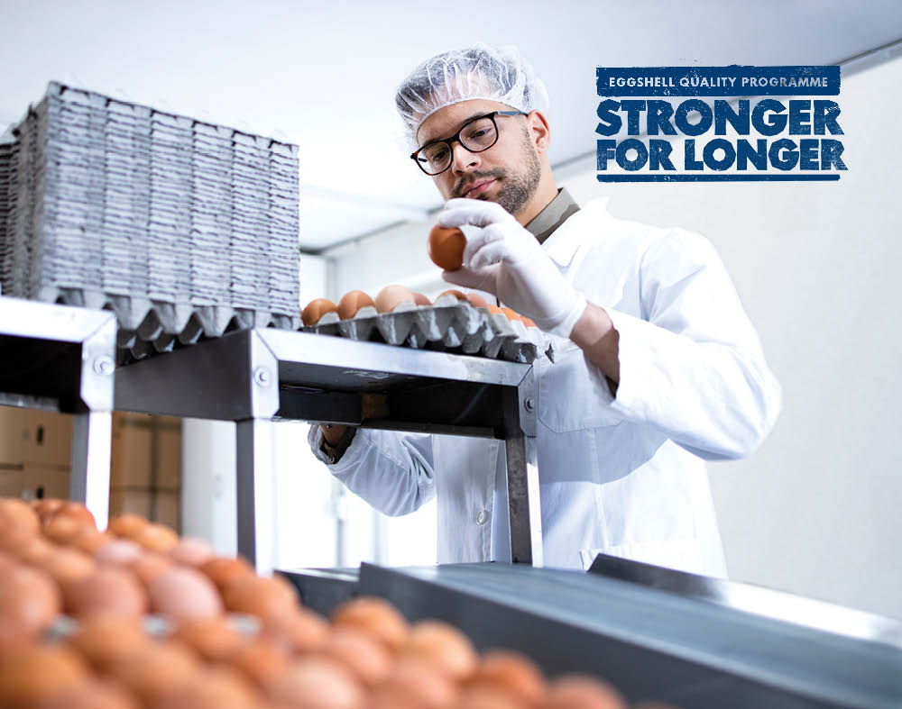 Trouw Nutrition’s eggshell quality programme