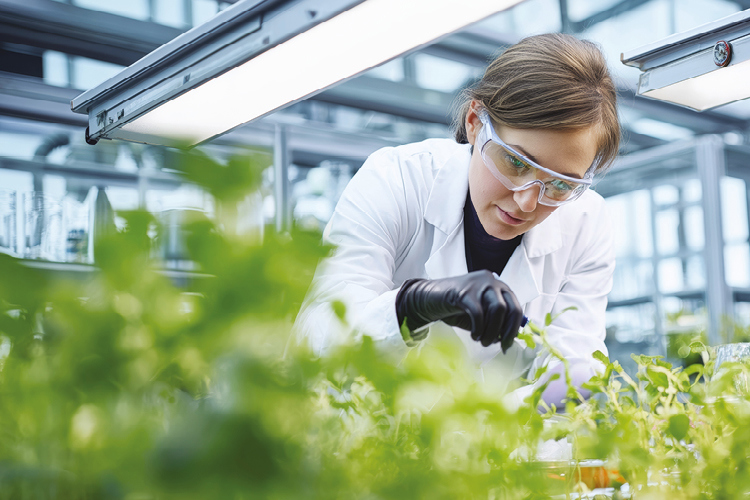 Image of a woman in a white lab coat working with plants in a laboratory