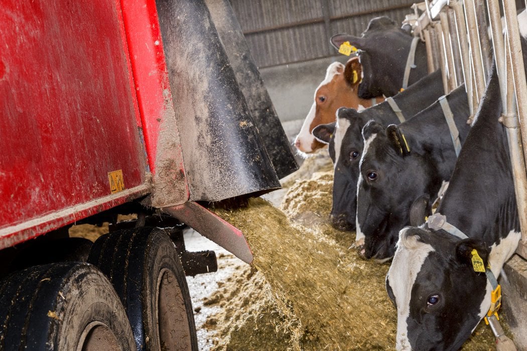 Feed, silage and total mixed rations management