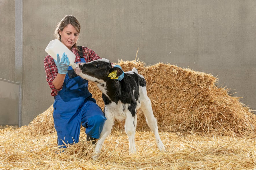 LifeStart Calf Symposium