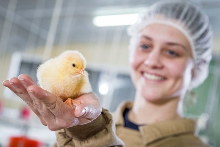 Poultry Research Centre