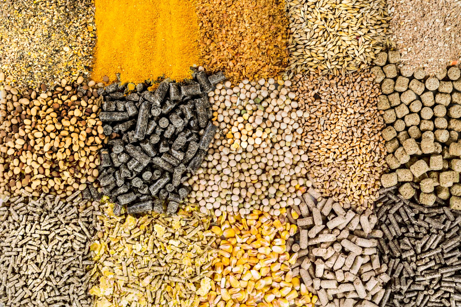 Ingredient Research