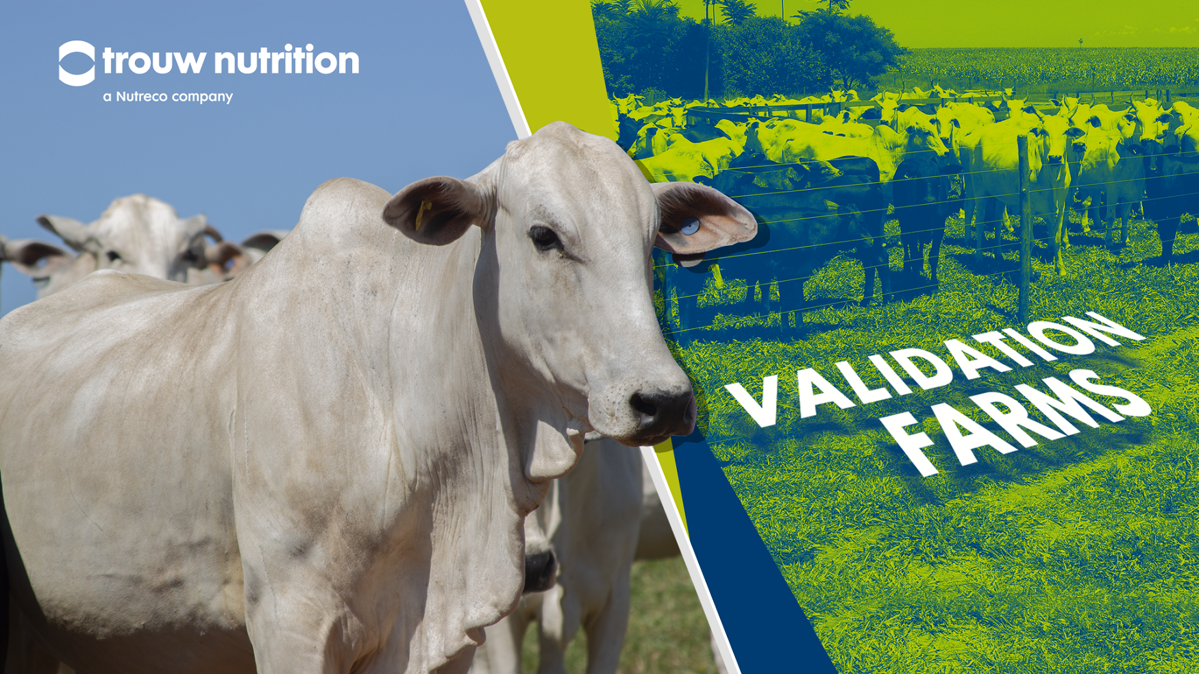validation farms