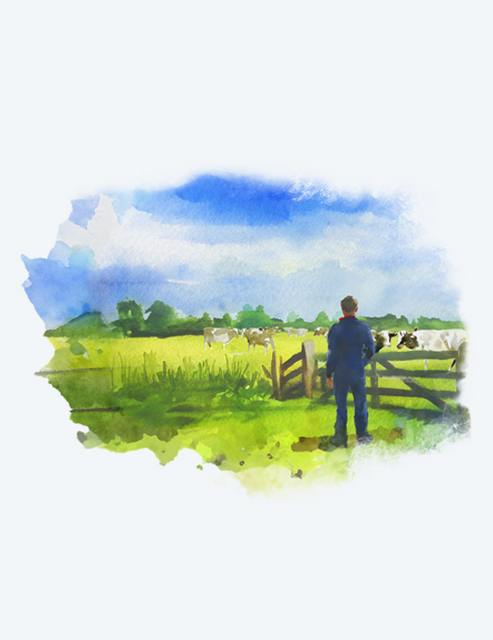 Watercolor image of a farmer looking over a field with cows