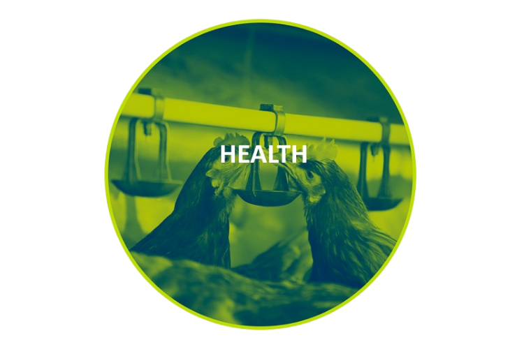 health-related issues