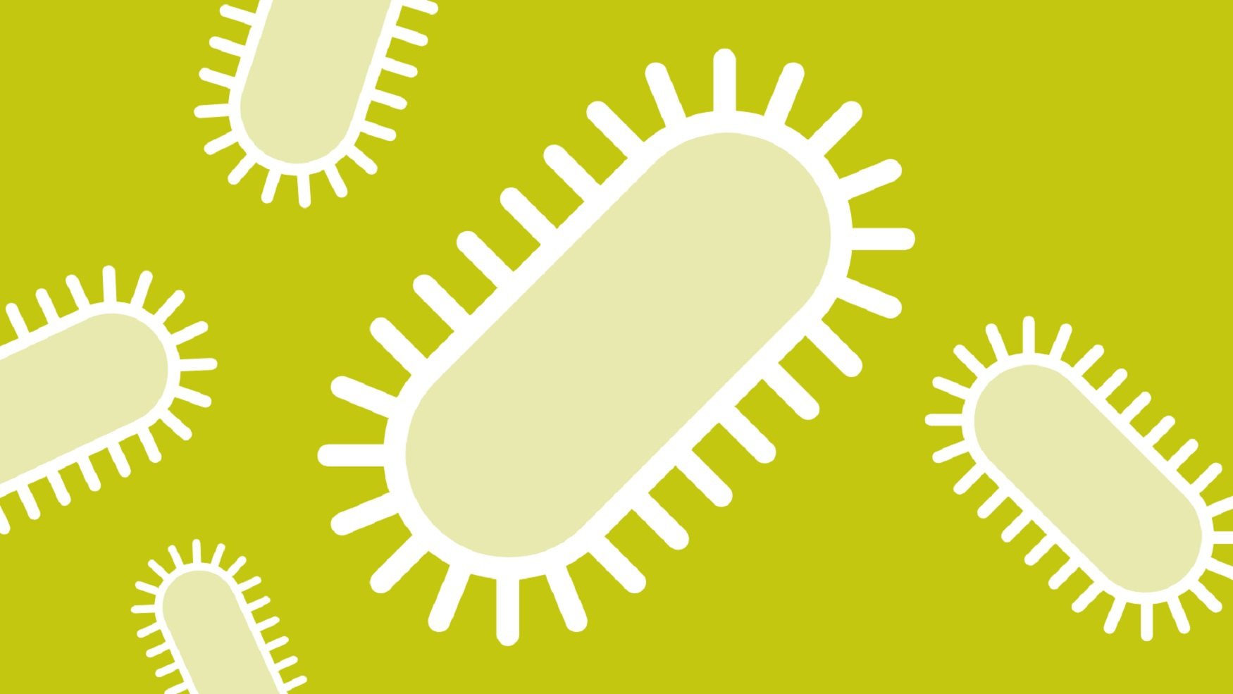 Antimicrobial Resistance