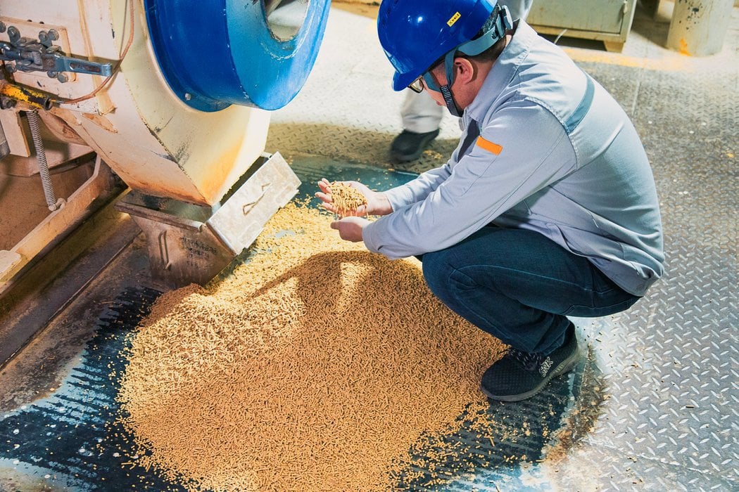 Enhancing feed stability