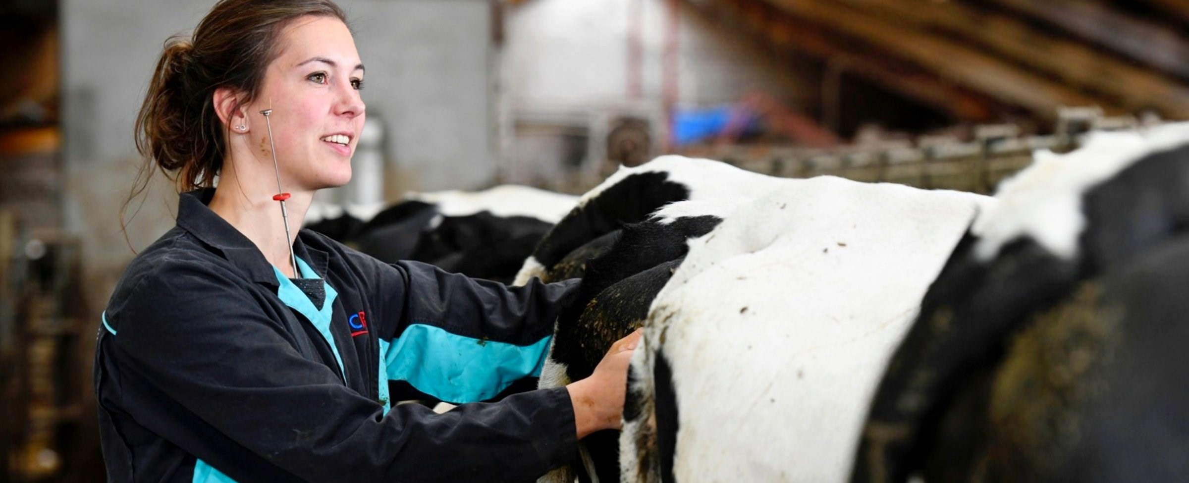 Enhancing cow Health and fertility