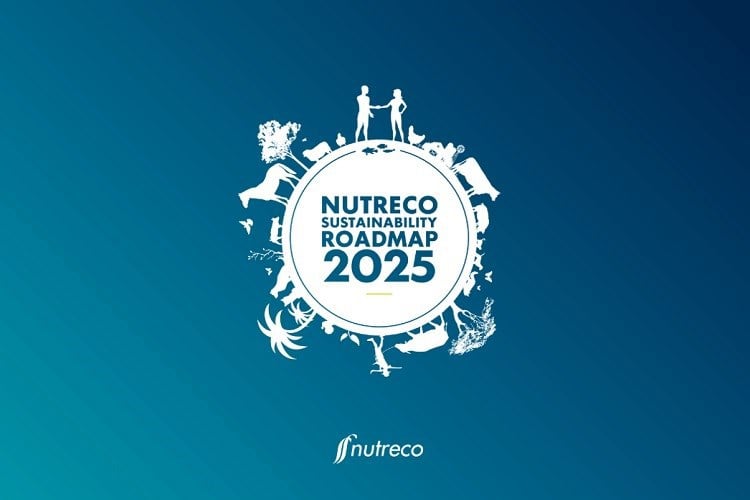 sustainability wallpaper