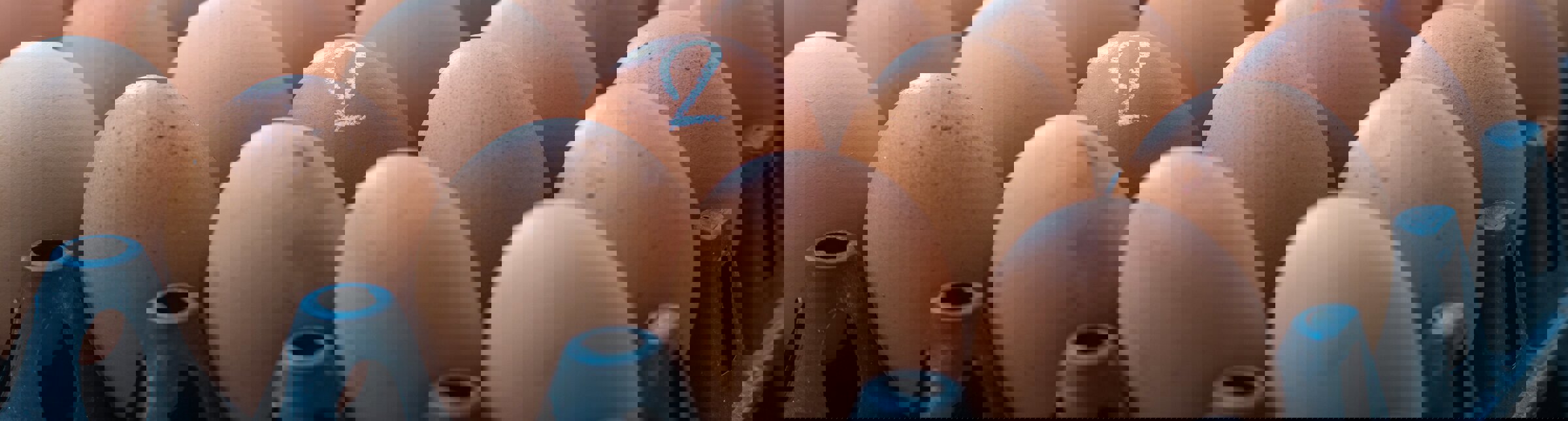 eggshell quality