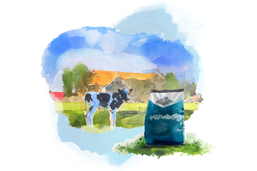 A healthy and stronger calf