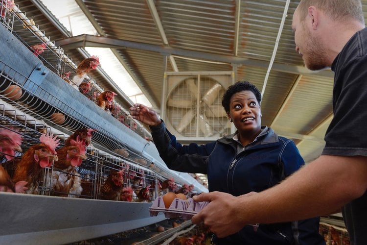 Validation Farms