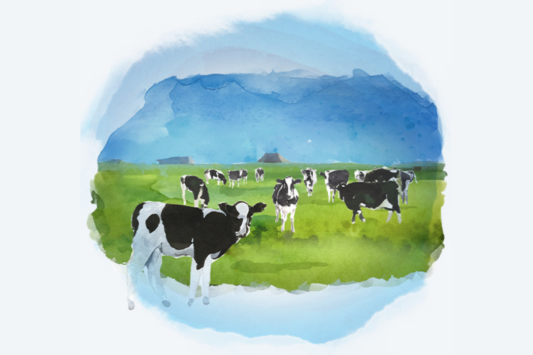 lowering trace mineral levels to match cow’s milk