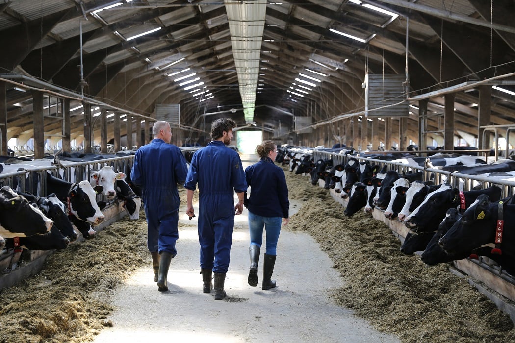 Optimising lifetime daily yield