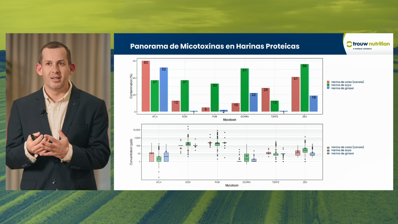 Thumbnail for the video recording of the global mycotoxin review showing Dr. Daniel Miranda