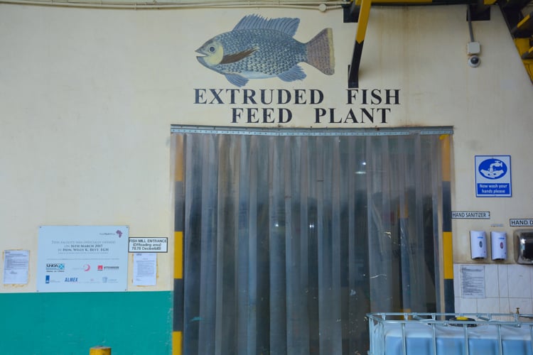 Nutreco enters into two joint ventures with Unga Group