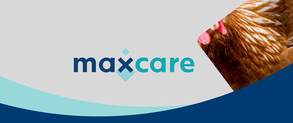 Enrich livestock nutrition with Maxcare feed supplements