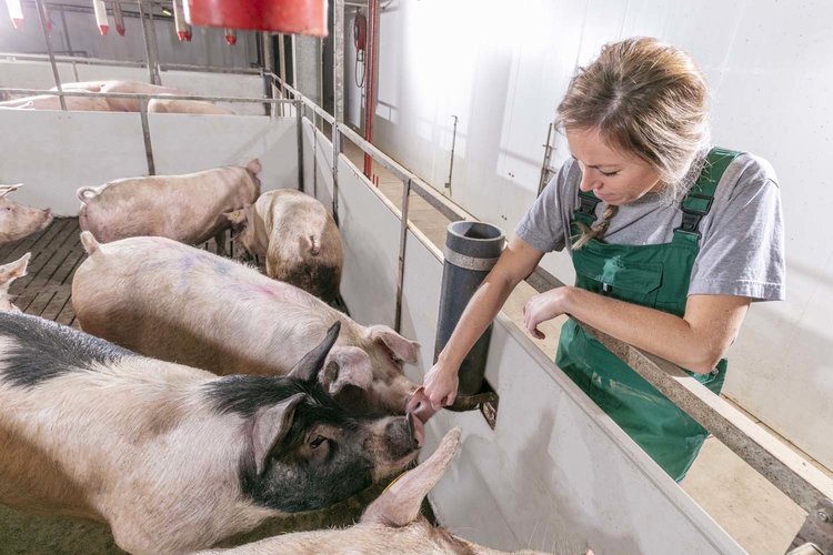 Reducerea rezistentei antimicrobiene
