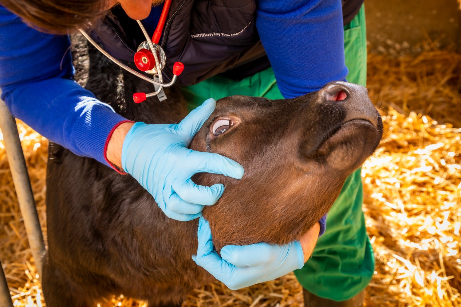 SPRAYFO HYDRATION CONTROL