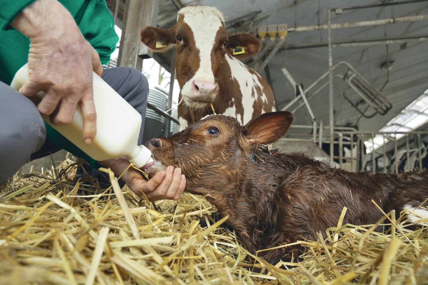 SPRAYFO HYDRATION CONTROL