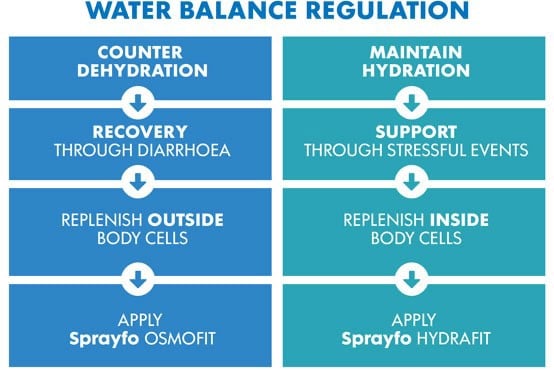 water balance regulation