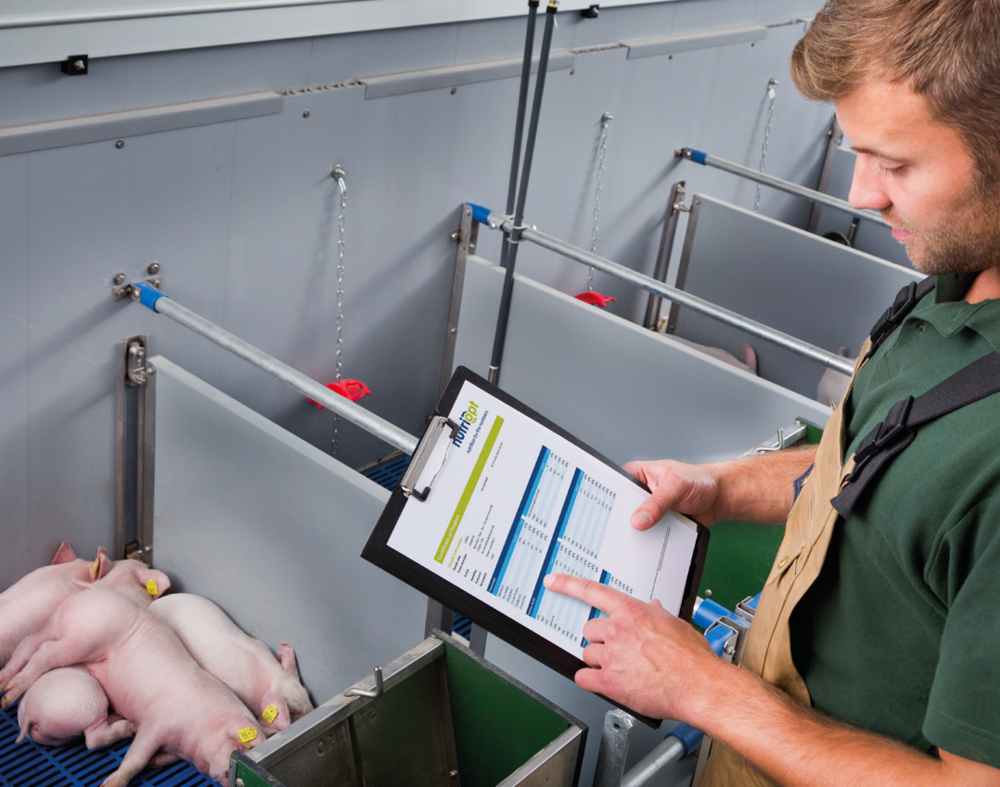 Precision farming solutions: for swine
