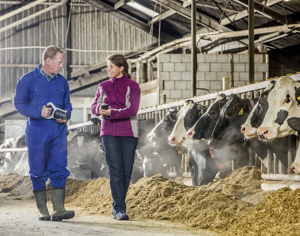 Precision farming solutions: for dairy cows