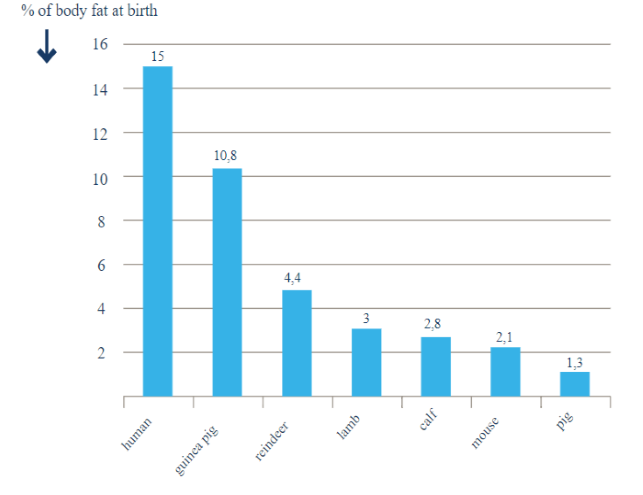 % of body fat at birth