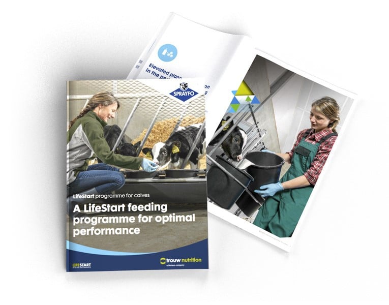 lifestart feeding brochure
