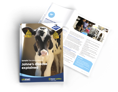 Everything you should know about Johne's disease