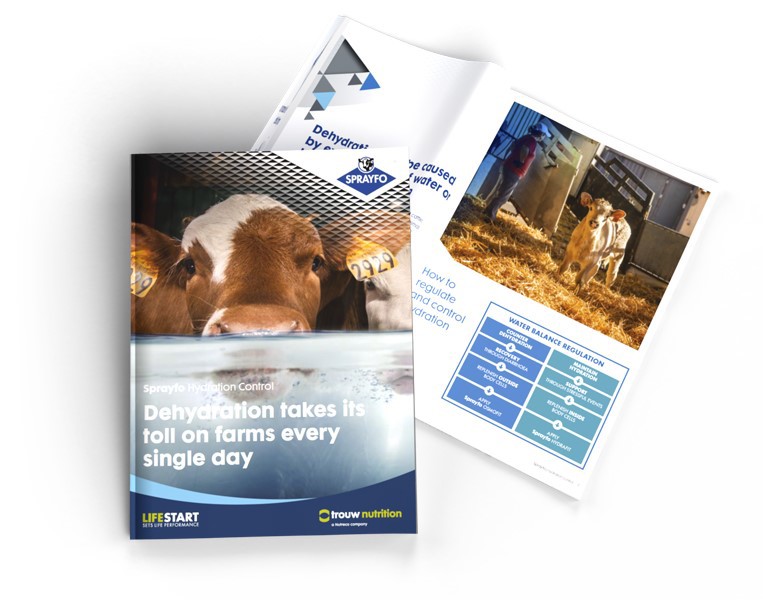 brochure to find out strategy for hydration control