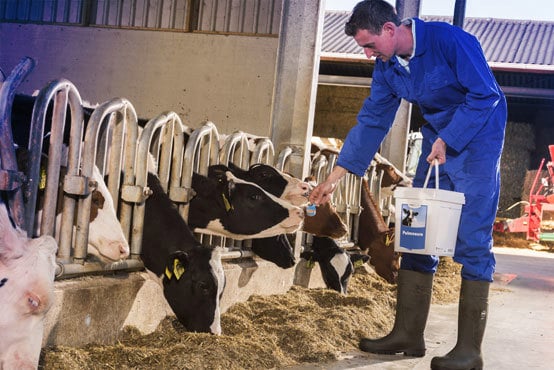 recognise calves that need additional support