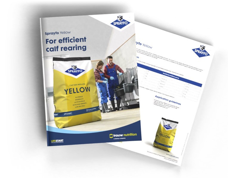 Download product data for Sprayfo Yellow
