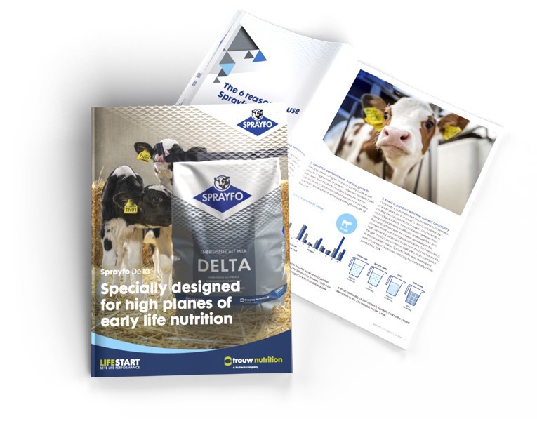 Download our brochure and read all about the latest innovation of Sprayfo