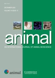 Animal
