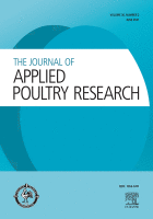 Improving broiler performance at market age