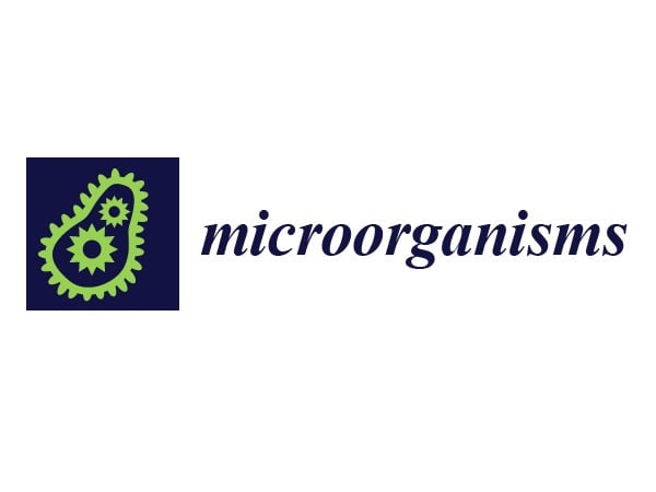 Impact of Yeast-Derived β-Glucans on the Porcine Gut Microbiota
