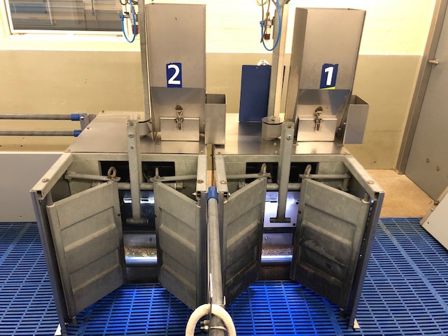 Feeding station for piglets 