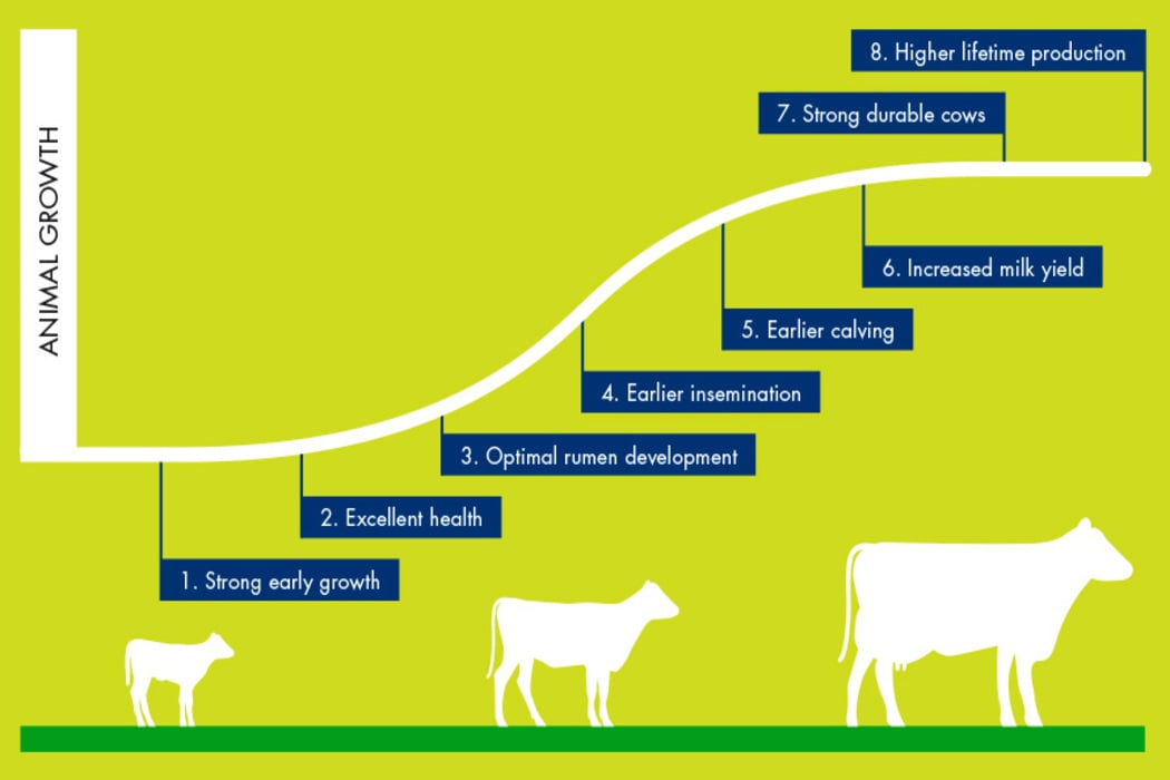 Lifestart extra growth
