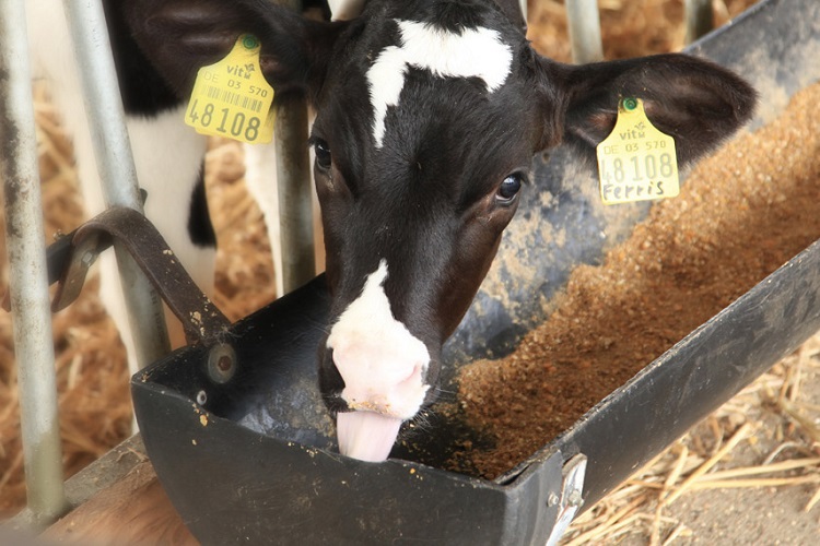 Growth in the first 6 months