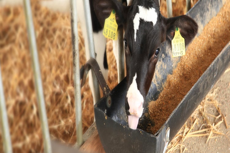 Growth in the first 6 months